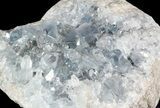 Celestine (Celestite) Crystal Cluster (Geode) - Madagascar #45637-1